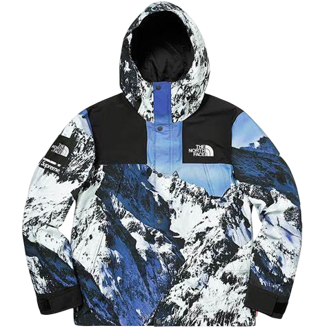 Supreme x North Face Mountain Jacket